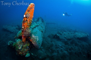 Wreck of the Mitsubishi A6M Zero, Kimbe Bay, Papua New Gu... by Tony Cherbas 